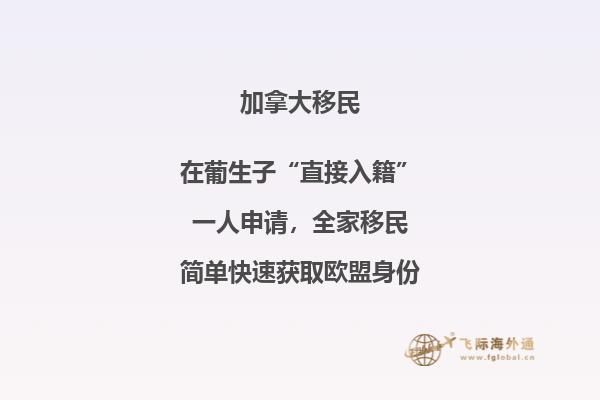 加拿大聯(lián)邦技術(shù)移民費用！與投資移民相比，竟然這要這么點！
