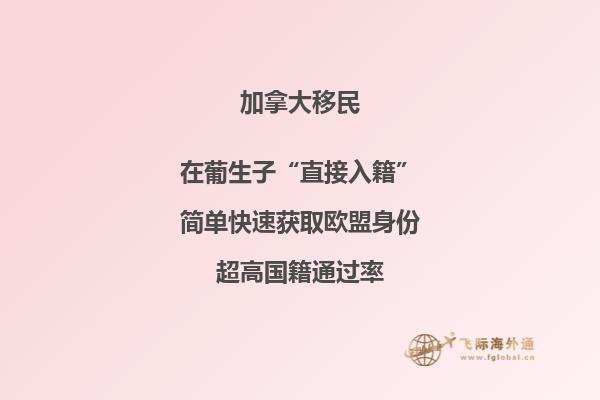 加拿大魁省投資移民適合哪些人，申請周期要多久？
