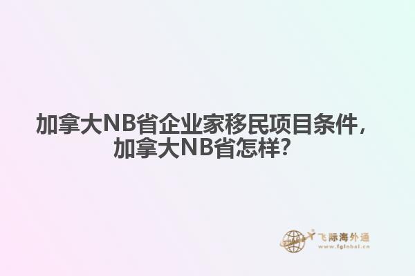 加拿大NB省企業(yè)家移民項(xiàng)目條件，加拿大NB省怎樣？