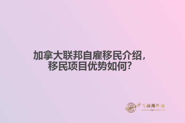 加拿大聯(lián)邦自雇移民介紹，移民項目優(yōu)勢如何？