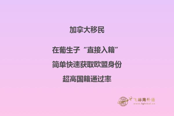 加拿大魁省投資移民需要多少錢，移民政策是什么？
