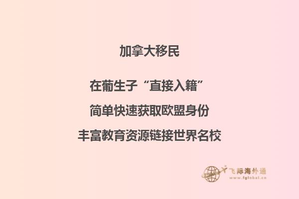 加拿大移民政策再傳利好，或新增“市提名”計劃！