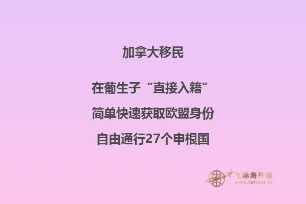 加拿大安省技術移民項目，哪種方式更適合你？