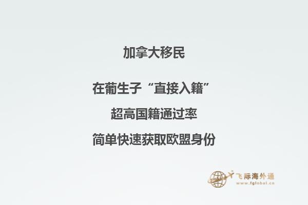 加拿大投資移民有幾種，你適合哪一種?