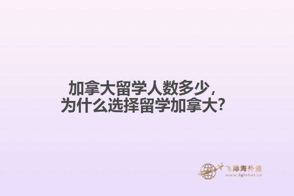 加拿大留學(xué)人數(shù)多少，為什么選擇留學(xué)加拿大？