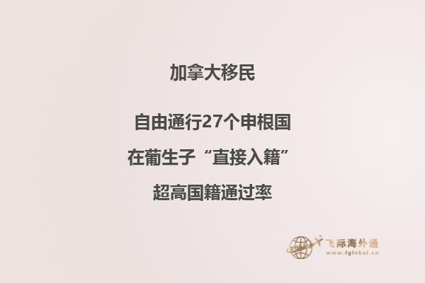加拿大留學(xué)移民專業(yè)選什么，優(yōu)先選擇以下專業(yè)！