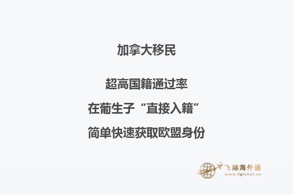 加拿大安省技術(shù)移民申請(qǐng)條件，流程復(fù)雜嗎？