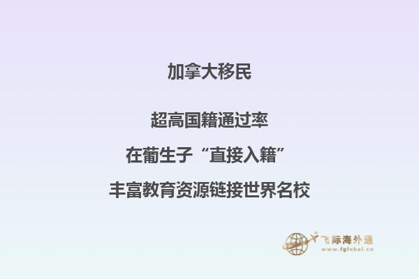 加拿大移民政策怎么樣，中國(guó)移民迎來(lái)利好！