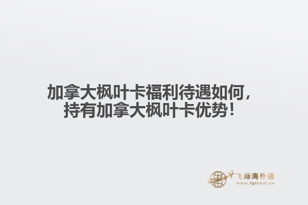 加拿大楓葉卡福利待遇如何，持有加拿大楓葉卡優(yōu)勢(shì)！