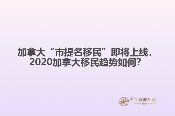加拿大“市提名移民”即將上線，2020加拿大移民趨勢如何？
