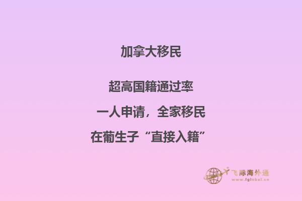 加拿大“市提名移民”即將上線，2020加拿大移民趨勢如何？
