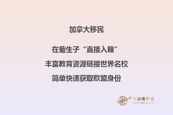 加拿大投資移民風(fēng)險(xiǎn)匯總，要避開哪些陷阱？ 