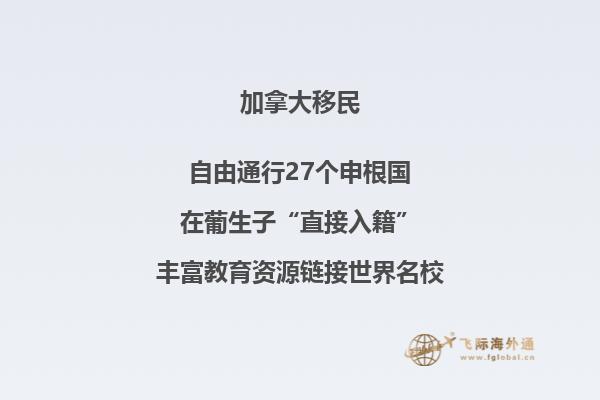 加拿大NB省企業(yè)家移民申請條件如何，你能申請嗎？