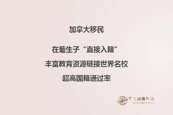 眼鏡書(shū)