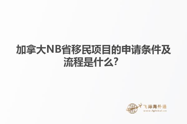 加拿大NB省移民項目的申請條件及流程是什么？