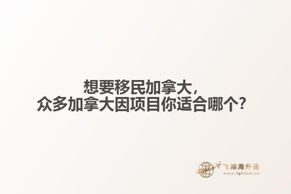 想要移民加拿大，眾多加拿大因項目你適合哪個？