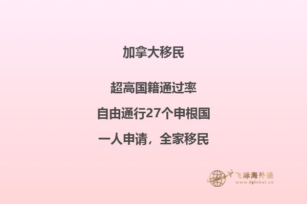 接到移民局背調(diào)電話怎么辦，如何輕松應(yīng)對(duì)移民局電話調(diào)查