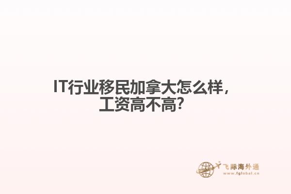 IT行業(yè)移民加拿大怎么樣，工資高不高？