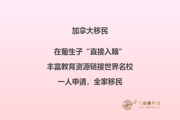 加拿大簽證申請中心網站教育和就業(yè)細節(jié)表
