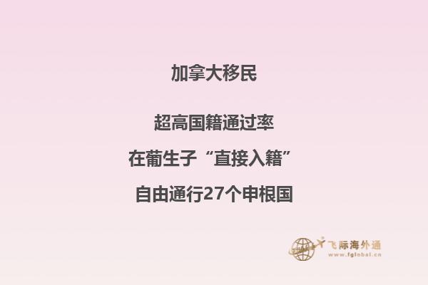 加拿大有哪些主流移民項(xiàng)目？