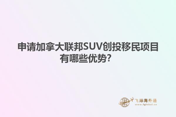 申請(qǐng)加拿大聯(lián)邦SUV創(chuàng)投移民項(xiàng)目有哪些優(yōu)勢？