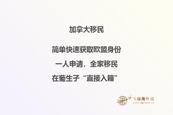 加拿大SUV移民條件，暢享加國自由與豪華！