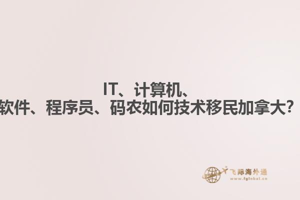 IT、計(jì)算機(jī)、軟件、程序員、碼農(nóng)如何技術(shù)移民加拿大？