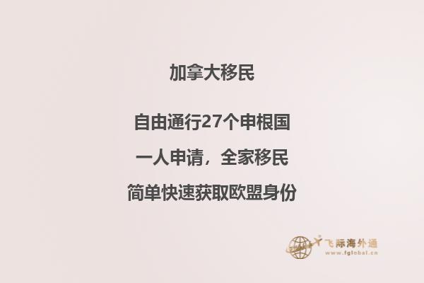 IT、計(jì)算機(jī)、軟件、程序員、碼農(nóng)如何技術(shù)移民加拿大？
