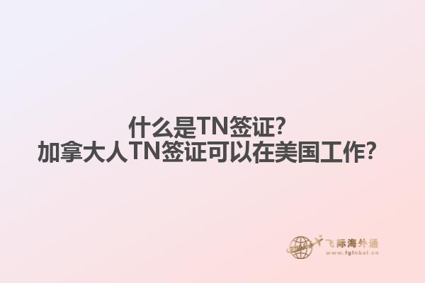 什么是TN簽證？加拿大人TN簽證可以在美國(guó)工作？