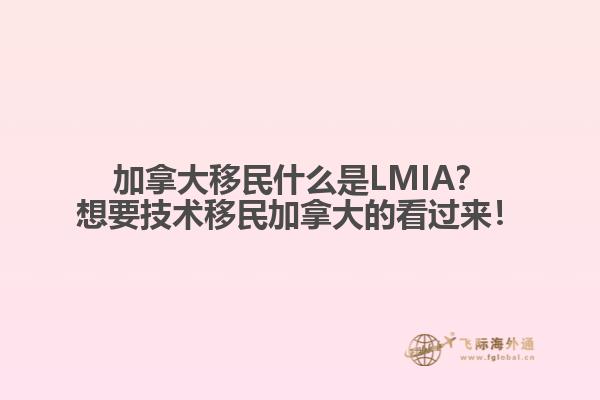 加拿大移民什么是LMIA？想要技術(shù)移民加拿大的看過來！