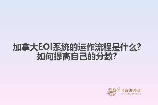 加拿大EOI系統(tǒng)的運(yùn)作流程是什么？如何提高自己的分?jǐn)?shù)？