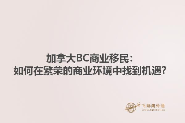 加拿大BC商業(yè)移民：如何在繁榮的商業(yè)環(huán)境中找到機(jī)遇？