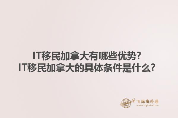 IT移民加拿大有哪些優(yōu)勢(shì)？IT移民加拿大的具體條件是什么？1.jpg