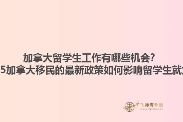 加拿大留學(xué)生工作有哪些機(jī)會(huì)？2025加拿大移民的最新政策如何影響留學(xué)生就業(yè)？