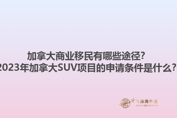 加拿大商業(yè)移民有哪些途徑？2023年加拿大SUV項(xiàng)目的申請條件是什么？