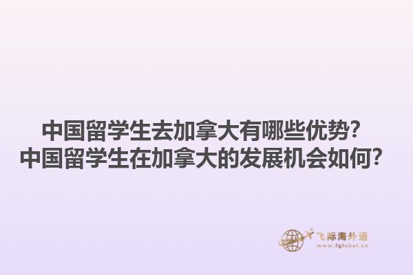 中國留學生去加拿大有哪些優(yōu)勢？中國留學生在加拿大的發(fā)展機會如何？