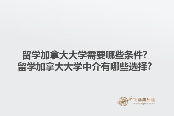 留學(xué)加拿大大學(xué)需要哪些條件？留學(xué)加拿大大學(xué)中介有哪些選擇？