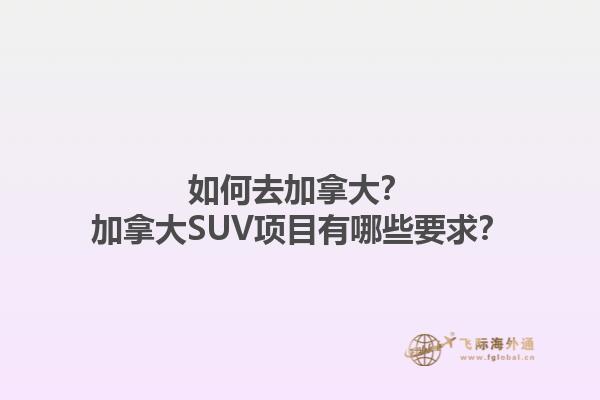 如何去加拿大？加拿大SUV項目有哪些要求？
