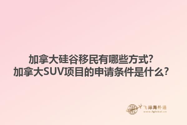 加拿大硅谷移民有哪些方式？加拿大SUV項目的申請條件是什么？