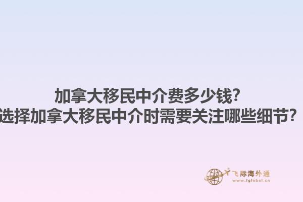 加拿大移民中介費多少錢？選擇加拿大移民中介時需要關(guān)注哪些細(xì)節(jié)？