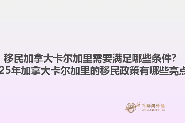 移民加拿大卡爾加里需要滿足哪些條件？2025年加拿大卡爾加里的移民政策有哪些亮點？1.jpg