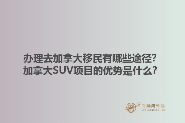 辦理去加拿大移民有哪些途徑？加拿大SUV項(xiàng)目的優(yōu)勢(shì)是什么？