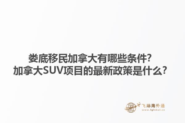 婁底移民加拿大有哪些條件？加拿大SUV項(xiàng)目的最新政策是什么？