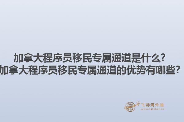加拿大程序員移民專(zhuān)屬通道是什么？加拿大程序員移民專(zhuān)屬通道的優(yōu)勢(shì)有哪些？1.jpg