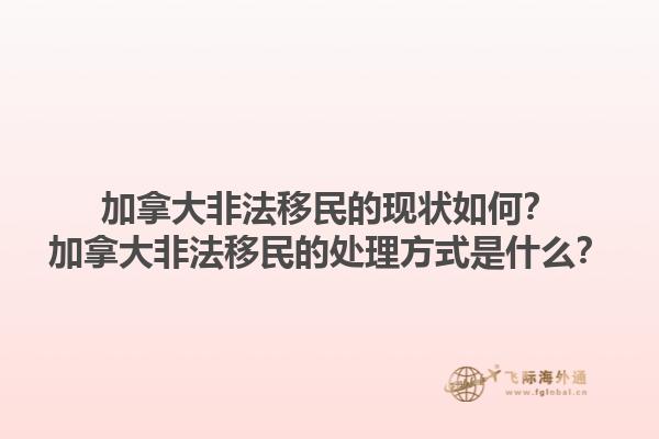 加拿大非法移民的現(xiàn)狀如何？加拿大非法移民的處理方式是什么？1.jpg