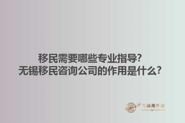 移民需要哪些專業(yè)指導(dǎo)？無(wú)錫移民咨詢公司的作用是什么？1.jpg
