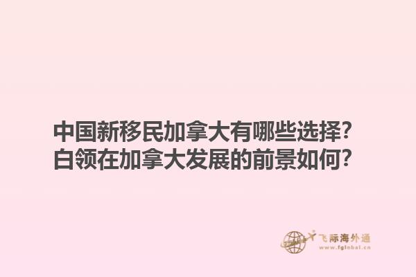 中國(guó)新移民加拿大有哪些選擇？白領(lǐng)在加拿大發(fā)展的前景如何？1.jpg