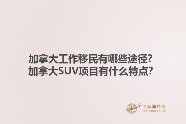 加拿大工作移民有哪些途徑？加拿大SUV項目有什么特點？1.jpg