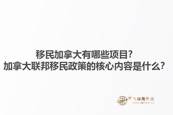 移民加拿大有哪些項(xiàng)目？加拿大聯(lián)邦移民政策的核心內(nèi)容是什么？1.jpg