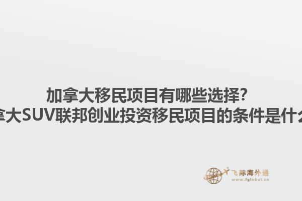 加拿大移民項目有哪些選擇？加拿大SUV聯(lián)邦創(chuàng)業(yè)投資移民項目的條件是什么？1.jpg